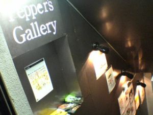peppersgallery.jpg
